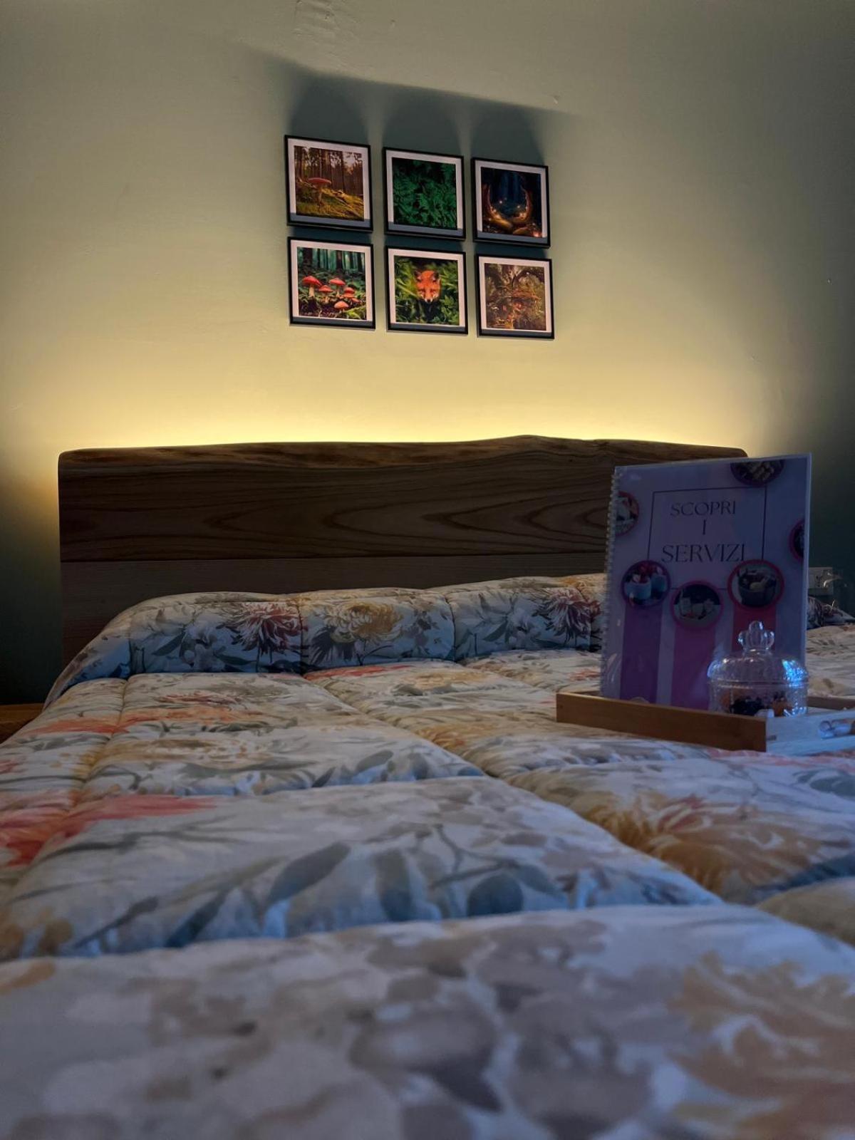 Il Bosco Incantato 보르고 산 달마쪼 외부 사진